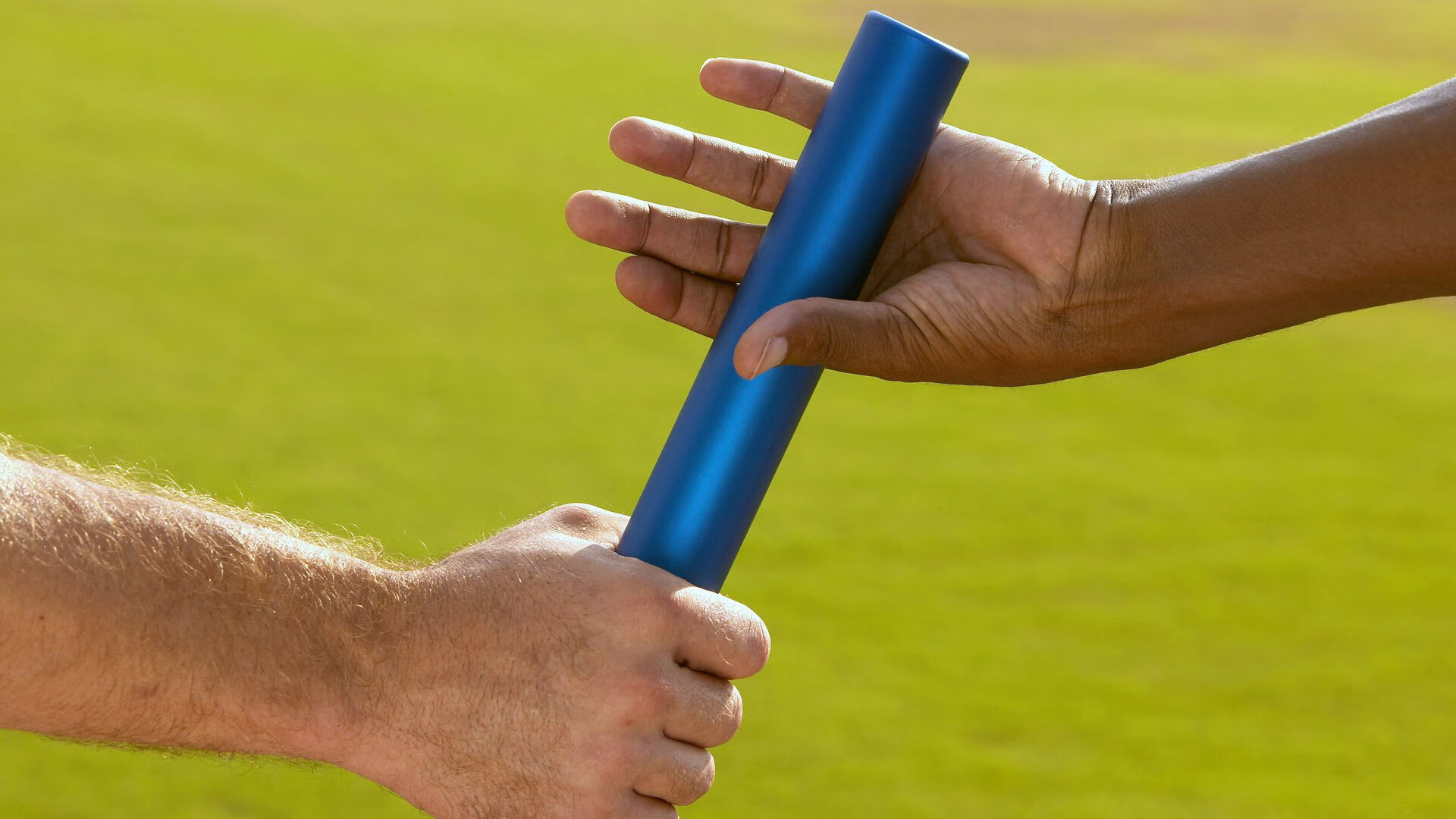 高校体育专业人才培养路径与质量保障，高校体育在人才培养中的作用包括哪些