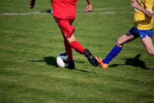 米兰体育网-中国足球年度训练项目与技战术实战匹配，中国足球队战术