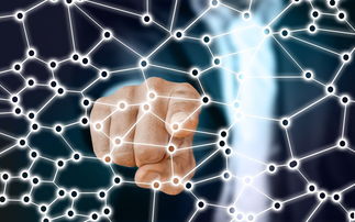 米兰体育入口-中国足球青训梯队人员年龄层结构，足球青训年龄段