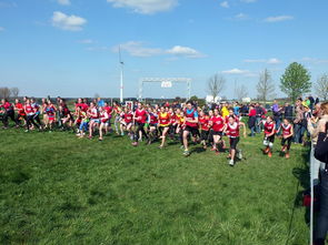 ac米兰-青少年体育锻炼促进策略与实践，青少年体育锻炼方案