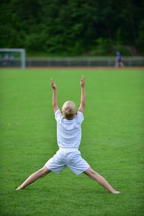 AC Milan Sports-高校运动训练计划动态调整机制研究，运动训练调控